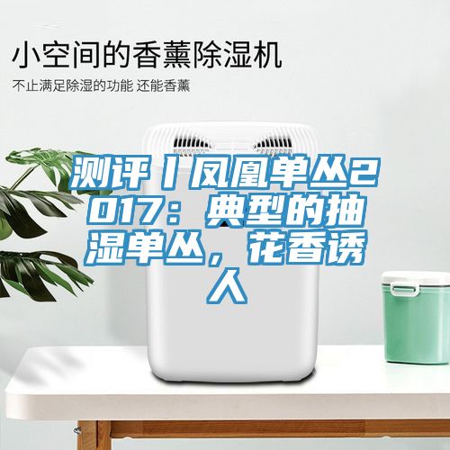 測評丨鳳凰單叢2017:典型的抽濕單叢,花香誘人