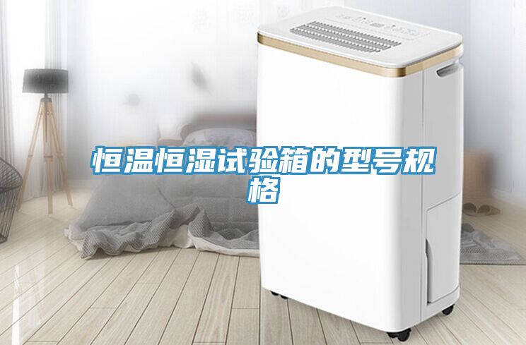 恒溫恒濕試驗(yàn)箱的型號(hào)規(guī)格