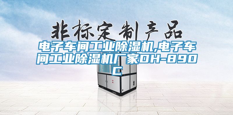 電子車間工業除濕機,電子車間工業除濕機廠家DH-890C