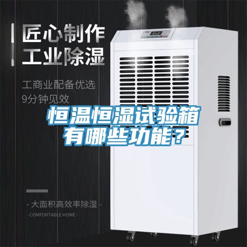 恒溫恒濕試驗(yàn)箱有哪些功能？