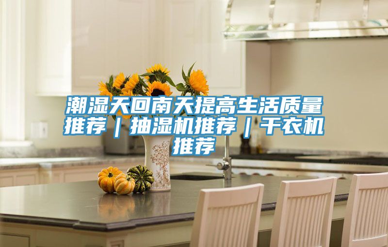 潮濕天回南天提高生活質(zhì)量推薦|抽濕機推薦|干衣機推薦