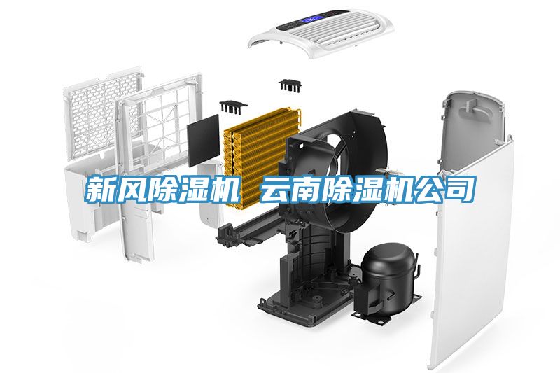 新風除濕機 云南除濕機公司