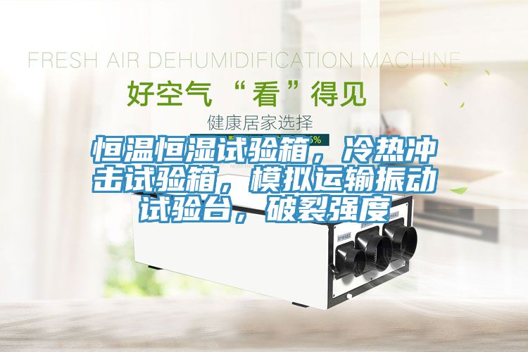 恒溫恒濕試驗箱，冷熱沖擊試驗箱，模擬運輸振動試驗臺，破裂強度