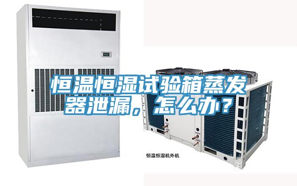 恒溫恒濕試驗箱蒸發(fā)器泄漏，怎么辦？