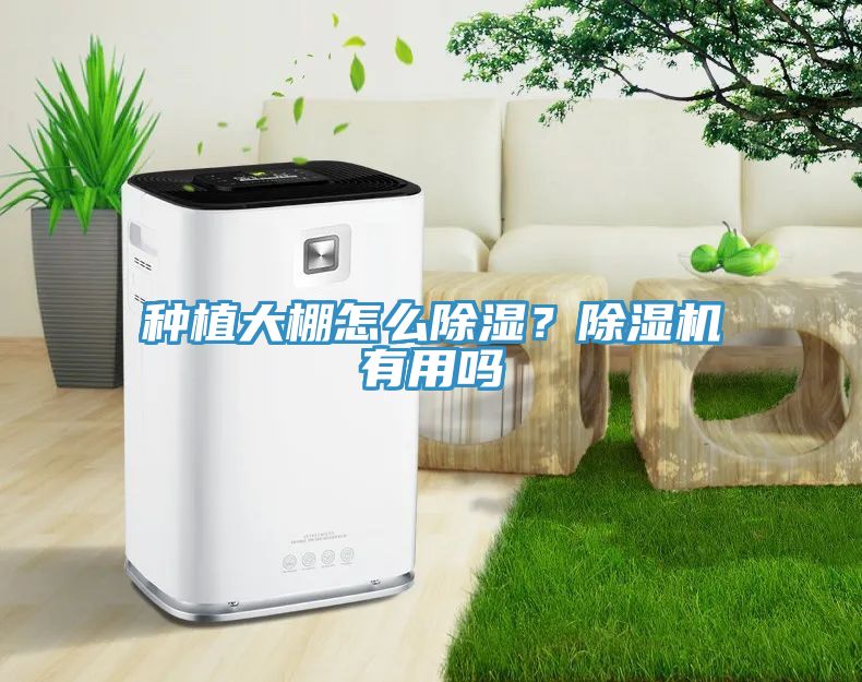 種植大棚怎么除濕？除濕機(jī)有用嗎