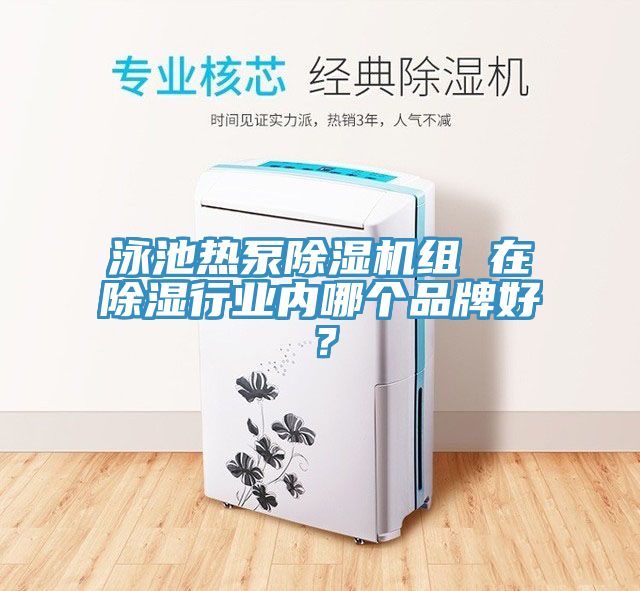 泳池熱泵除濕機組 在除濕行業內哪個品牌好？