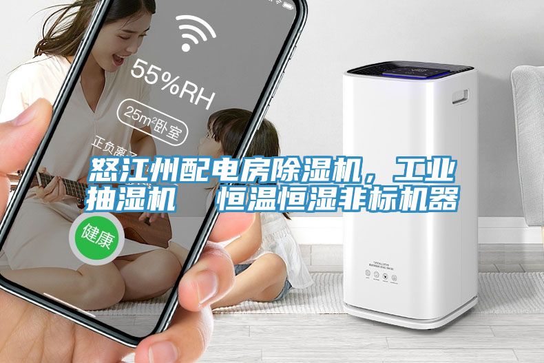 怒江州配電房除濕機，工業抽濕機  恒溫恒濕非標機器