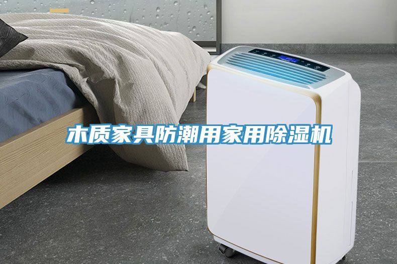 木質家具防潮用家用除濕機