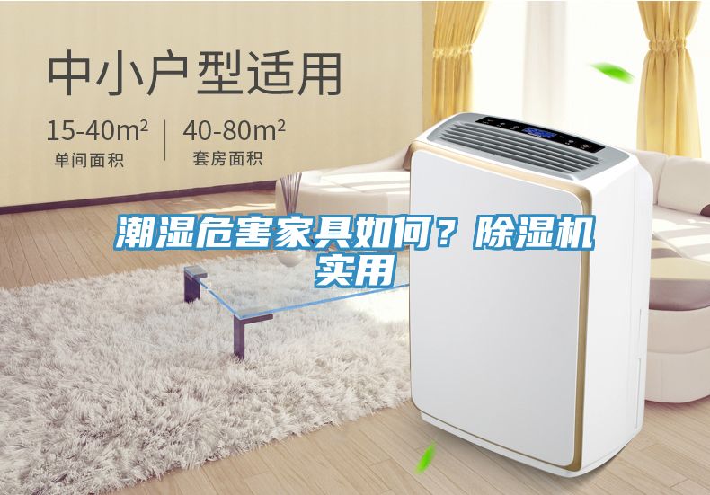 潮濕危害家具如何?除濕機實用