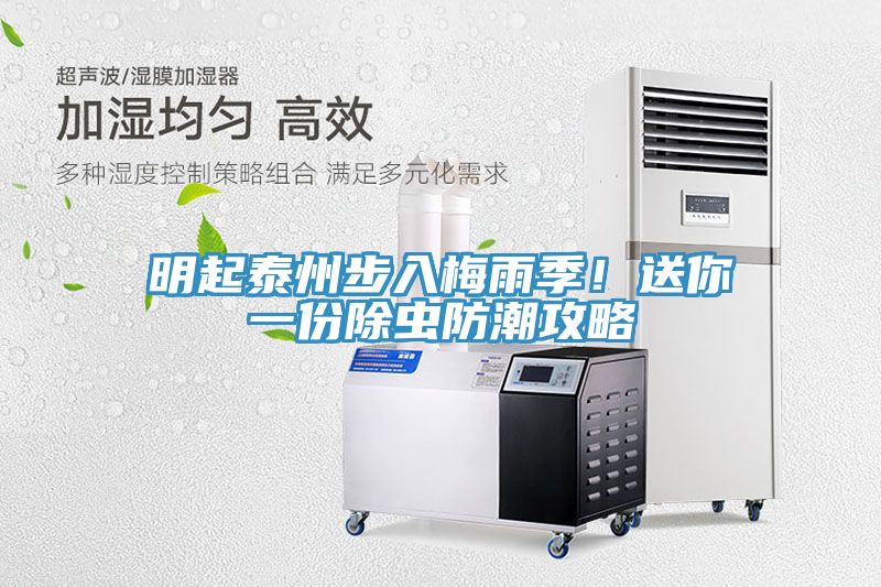 明起泰州步入梅雨季！送你一份除蟲防潮攻略