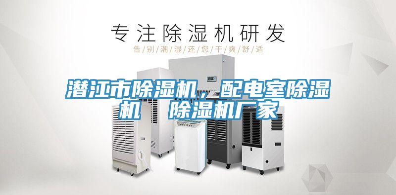 潛江市除濕機,配電室除濕機 除濕機廠家