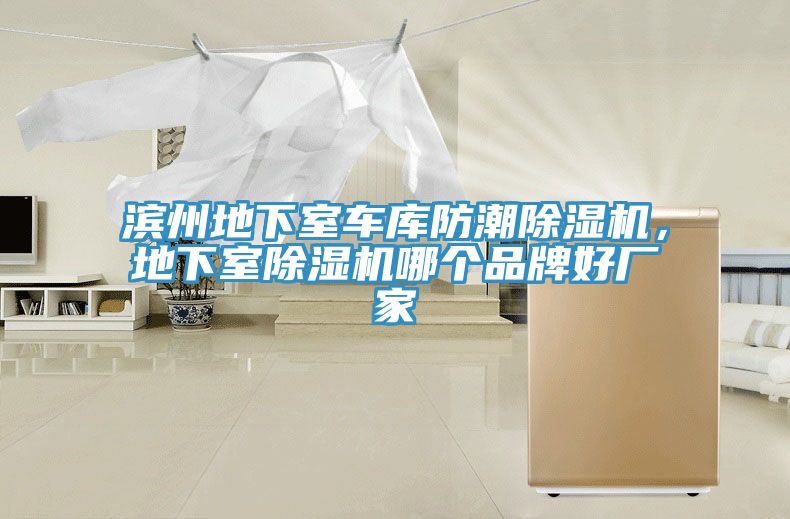 濱州地下室車庫防潮除濕機,地下室除濕機哪個品牌好廠家