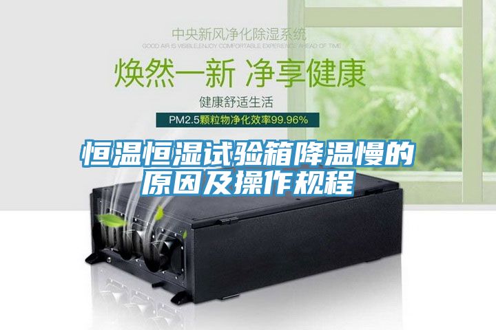 恒溫恒濕試驗箱降溫慢的原因及操作規(guī)程