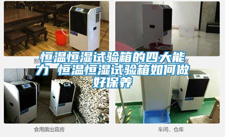 恒溫恒濕試驗(yàn)箱的四大能力 恒溫恒濕試驗(yàn)箱如何做好保養(yǎng)