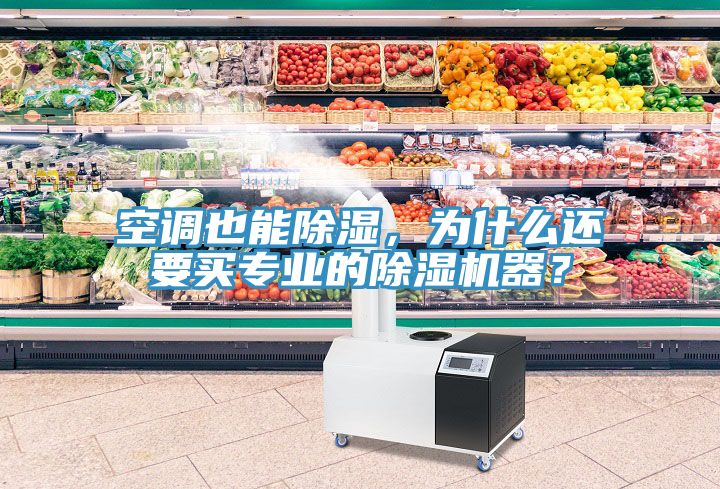 空調也能除濕，為什么還要買專業的除濕機器？
