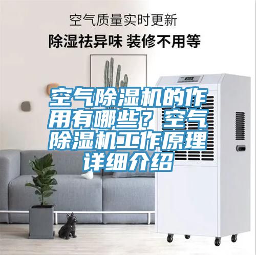 空氣除濕機的作用有哪些?空氣除濕機工作原理詳細介紹
