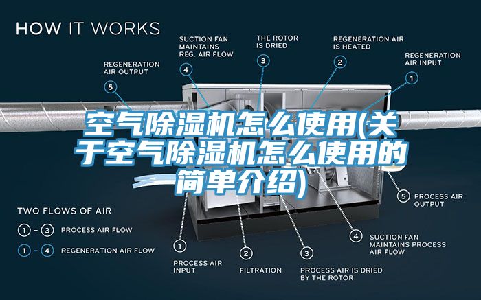 空氣除濕機怎么使用(關(guān)于空氣除濕機怎么使用的簡單介紹)