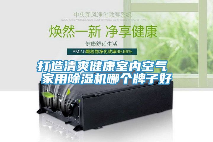 打造清爽健康室內(nèi)空氣 家用除濕機(jī)哪個牌子好