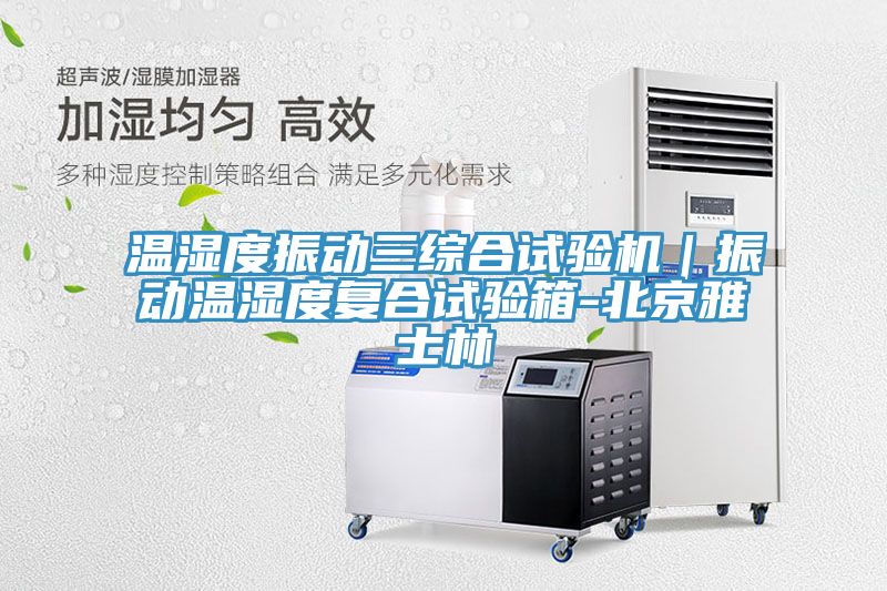 溫濕度振動三綜合試驗機｜振動溫濕度復(fù)合試驗箱-北京雅士林