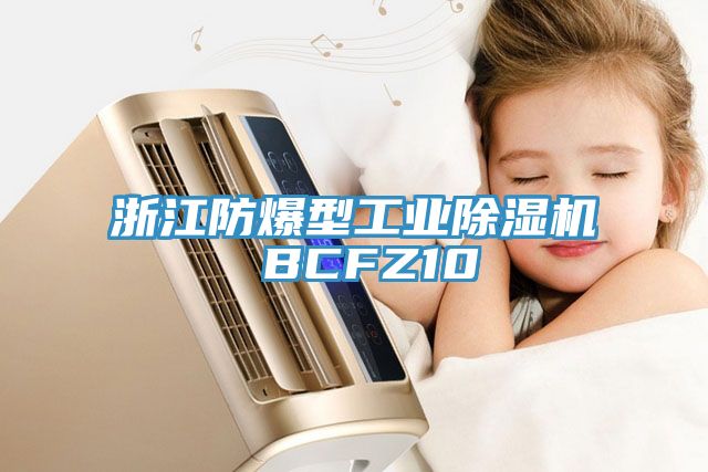 浙江防爆型工業除濕機 BCFZ10