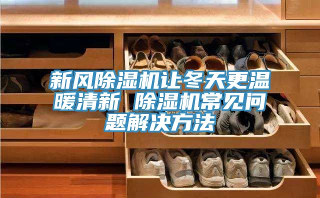 新風(fēng)除濕機讓冬天更溫暖清新 除濕機常見問題解決方法