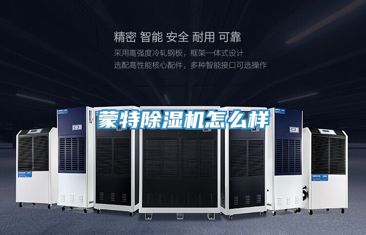 蒙特除濕機(jī)怎么樣