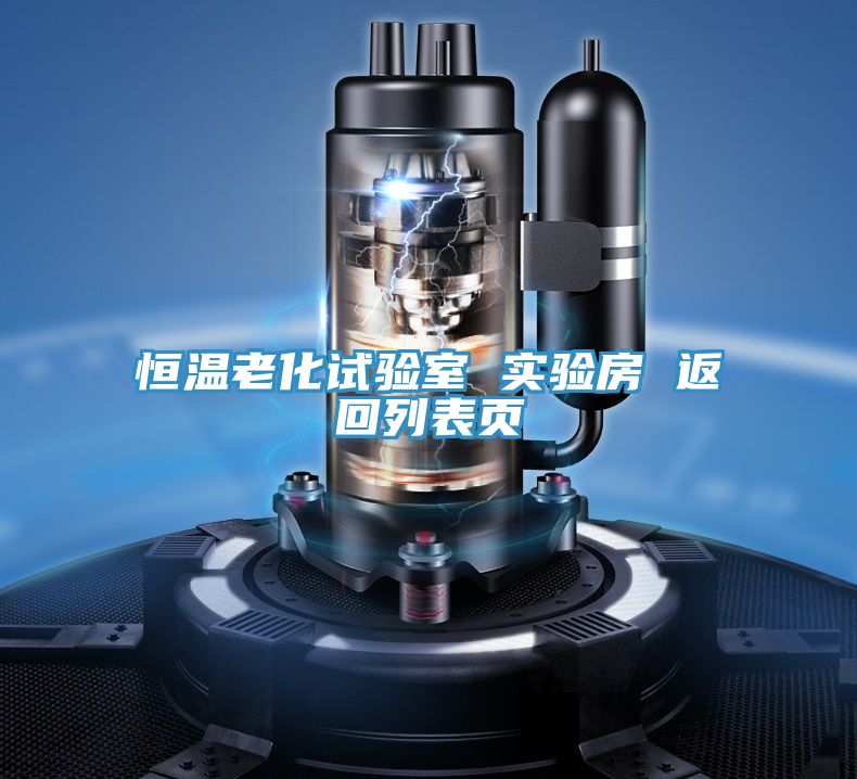 恒溫老化試驗(yàn)室 實(shí)驗(yàn)房 返回列表頁(yè)