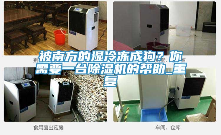 被南方的濕冷凍成狗？你需要一臺除濕機的幫助_重復