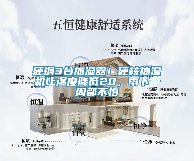 硬鋼3臺加濕器!硬核抽濕機讓濕度降低20,雨下一周都不怕