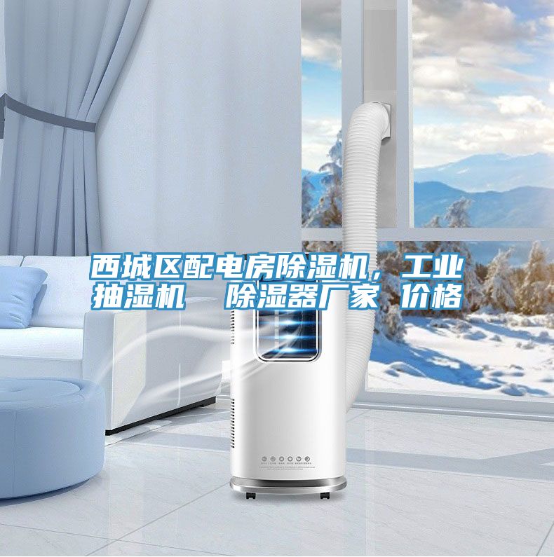 西城區配電房除濕機，工業抽濕機  除濕器廠家 價格