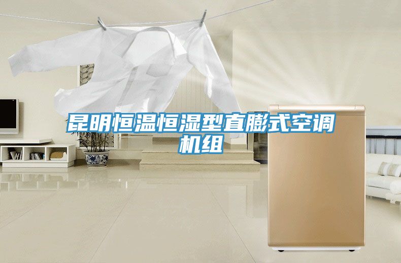 昆明恒溫恒濕型直膨式空調(diào)機組