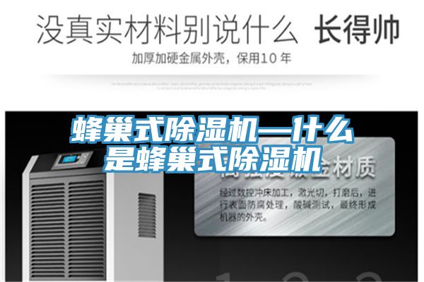 蜂巢式除濕機(jī)—什么是蜂巢式除濕機(jī)