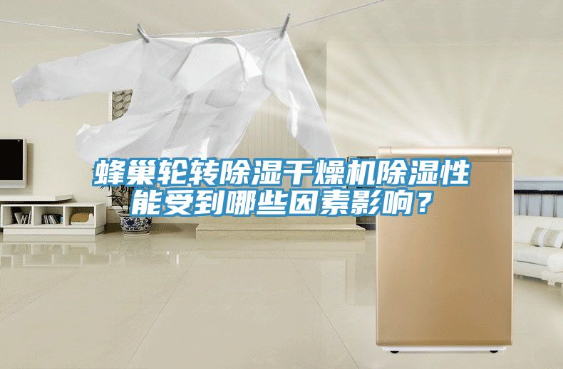 蜂巢輪轉(zhuǎn)除濕干燥機(jī)除濕性能受到哪些因素影響？