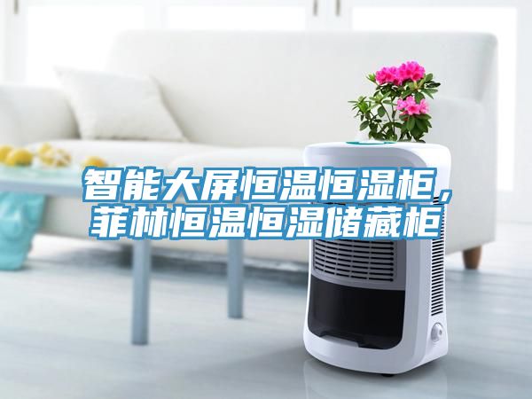 智能大屏恒溫恒濕柜，菲林恒溫恒濕儲藏柜