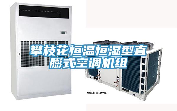 攀枝花恒溫恒濕型直膨式空調機組