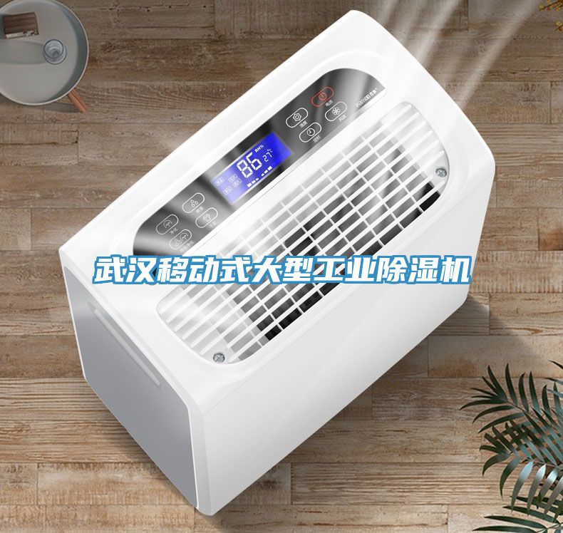 武漢移動式大型工業除濕機