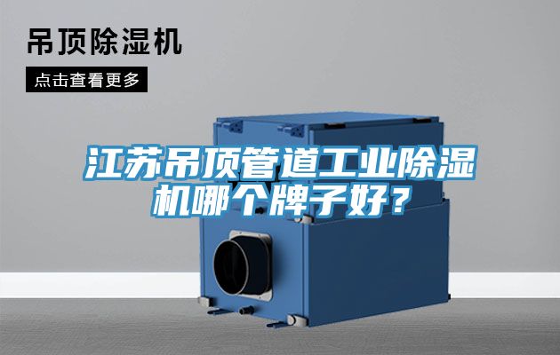 江蘇吊頂管道工業除濕機哪個牌子好？