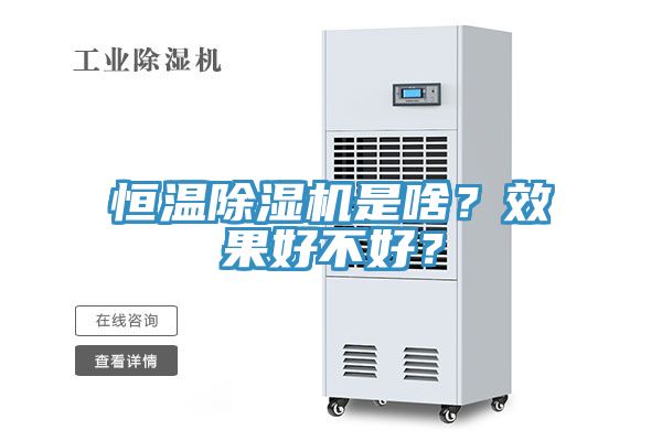 恒溫除濕機(jī)是啥？效果好不好？