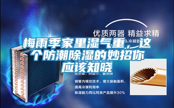 梅雨季家里濕氣重，這個(gè)防潮除濕的妙招你應(yīng)該知曉