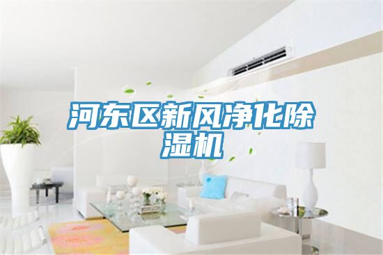 河東區新風凈化除濕機