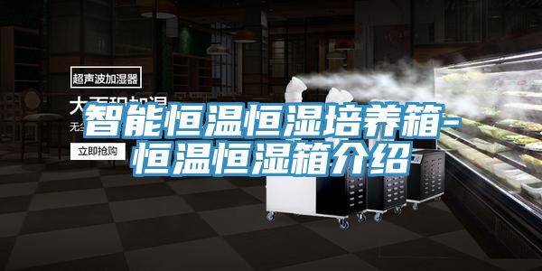 智能恒溫恒濕培養箱-恒溫恒濕箱介紹