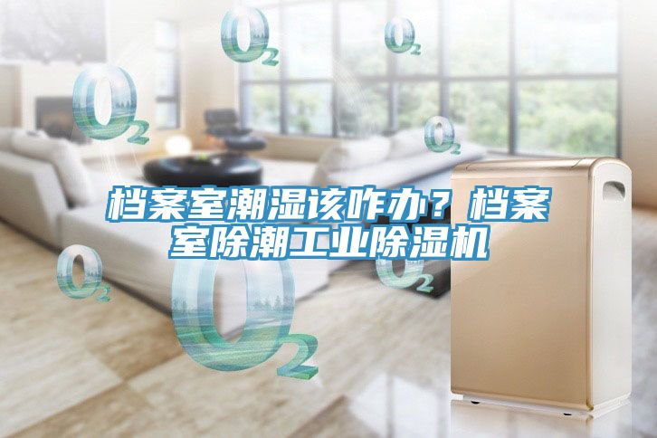 檔案室潮濕該咋辦？檔案室除潮工業除濕機