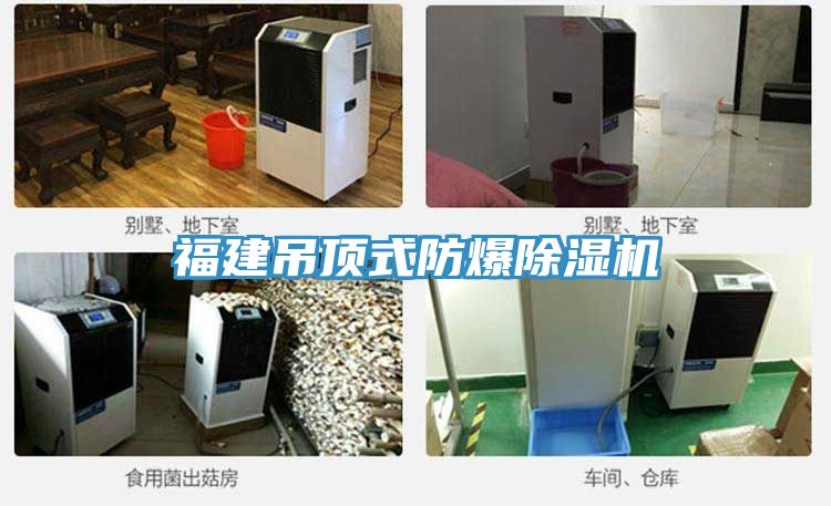 福建吊頂式防爆除濕機(jī)