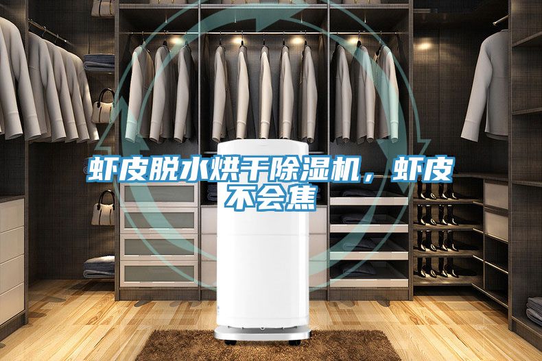 蝦皮脫水烘干除濕機(jī)，蝦皮不會焦