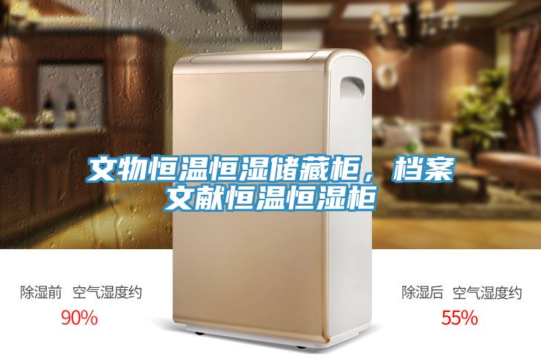 文物恒溫恒濕儲藏柜，檔案文獻恒溫恒濕柜