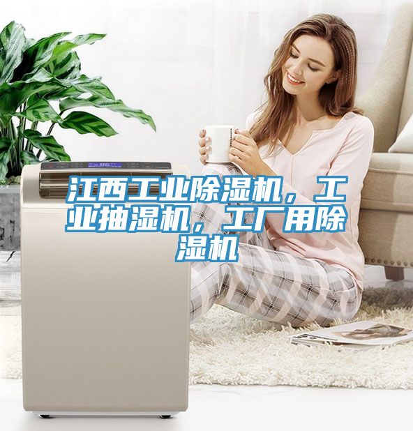 江西工業除濕機，工業抽濕機，工廠用除濕機