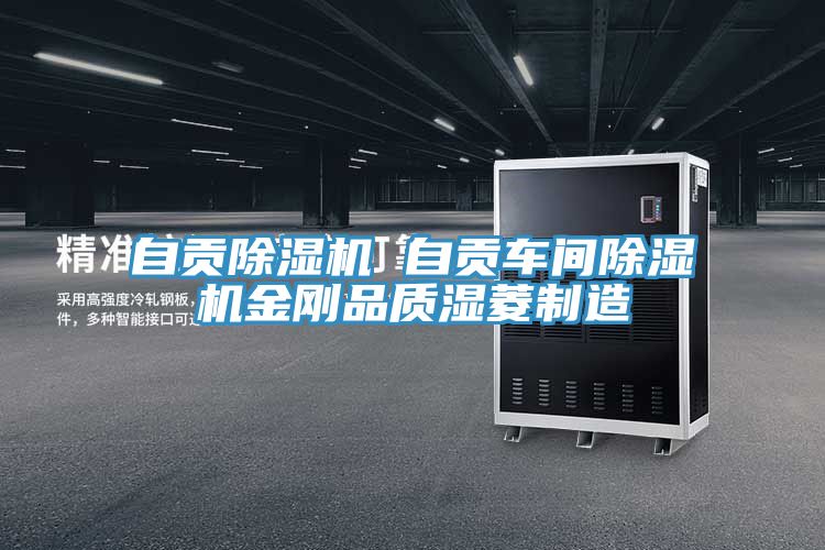 自貢除濕機 自貢車間除濕機金剛品質濕菱制造