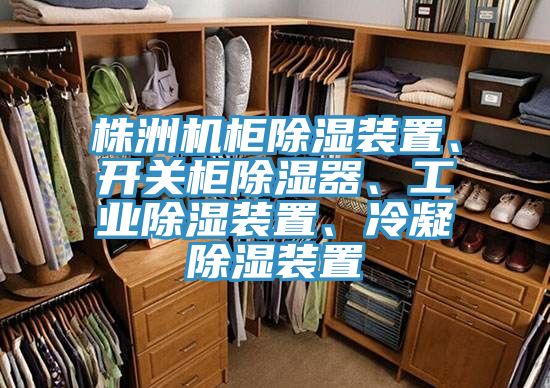 株洲機柜除濕裝置、開關柜除濕器、工業除濕裝置、冷凝除濕裝置