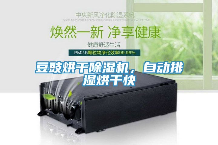 豆豉烘干除濕機，自動排濕烘干快
