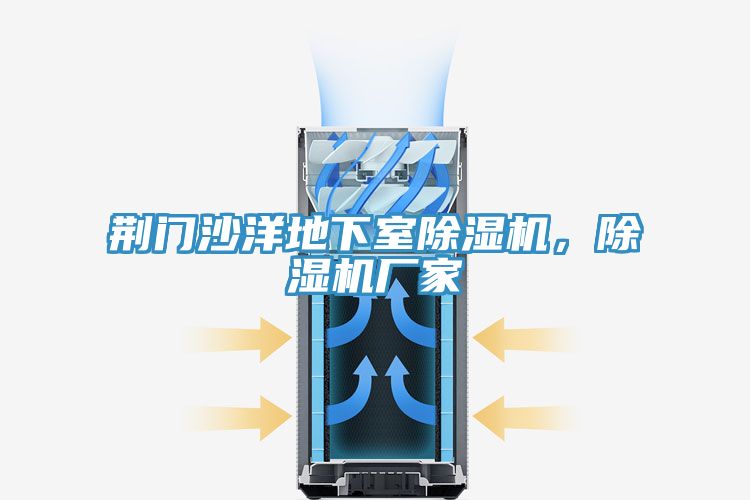 荊門沙洋地下室除濕機(jī)，除濕機(jī)廠家